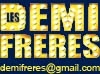 logo demi-frères